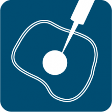 Transfection